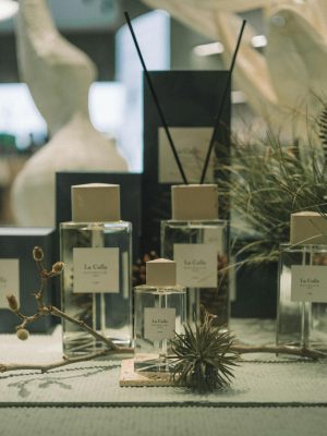 Sophisticated perfume bottles surrounded by organic materials in a chic indoor setting.